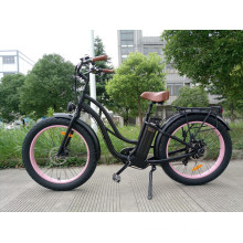 High Power Fast Speed Fat E-Bike Hot Sale with Step Through